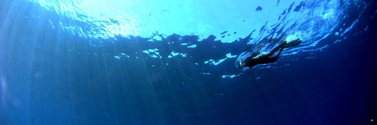 Kaş Dalış Yarışmaları ve Sonuçları