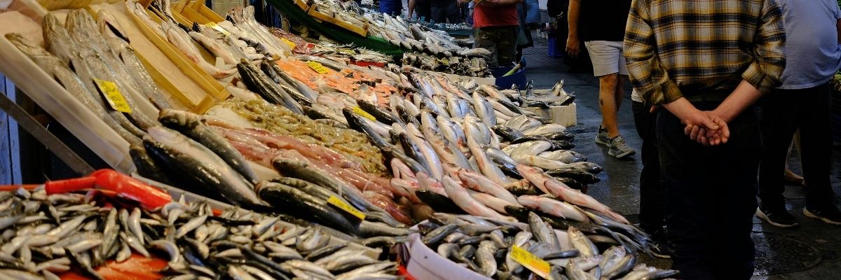 Kaş’ta Deniz Ürünleri Pazarı ve Taze Balık Noktaları